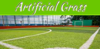 Different Types Of Artificial Grass That Can Beautify Your Home Different Types Of Artificial Grass That Can Beautify Your Home