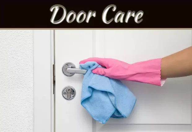 Door Care And Maintenance 101: Tips From Your Arlington Doors Experts