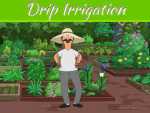Drip Irrigation And How It Can Work Best For Your Garden? Drip Irrigation And How It Can Work Best For Your Garden?