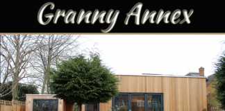 The Rise Of The Versatile Granny Annex The Rise Of The Versatile Granny Annex