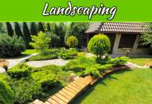 Components Of A Luxury Landscaping Plan Components Of A Luxury Landscaping Plan