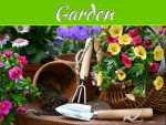 Grow Your Own Chemical-Free Garden Grow Your Own Chemical-Free Garden