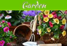 Grow Your Own Chemical-Free Garden Grow Your Own Chemical-Free Garden