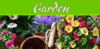 Grow Your Own Chemical-Free Garden Grow Your Own Chemical-Free Garden