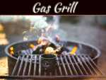 Kitchen Remodeling Ideas: Choose A Gas Grill That Complements Your Kitchen Décor Kitchen Remodeling Ideas: Choose A Gas Grill That Complements Your Kitchen Décor