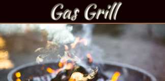 Kitchen Remodeling Ideas: Choose A Gas Grill That Complements Your Kitchen Décor Kitchen Remodeling Ideas: Choose A Gas Grill That Complements Your Kitchen Décor