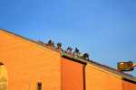 professional-roofing-contractors