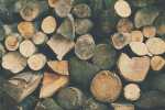 simple-sustainable-materials