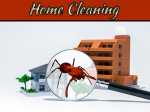 Termites: How To Determine That They’re Eating Your Home Termites: How To Determine That They're Eating Your Home