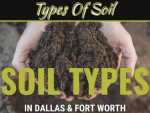 Types Of Soil In The Dallas And Fort Worth Area & How They Affect Your Foundation