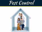 What Are The Severe Damages Caused By Pests? What Are The Severe Damages Caused By Pests?