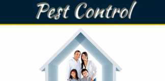 What Are The Severe Damages Caused By Pests? What Are The Severe Damages Caused By Pests?