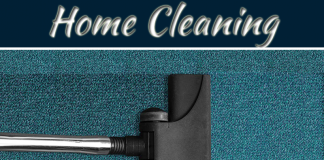 Best Way To Remove Pet Odor From The Carpets Best Way To Remove Pet Odor From The Carpets