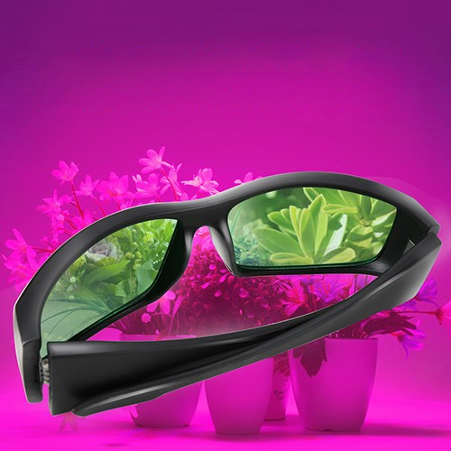 LED Grow Room Glasses