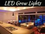 Thinking About Using LED Grow Lights? Here Are The 5 Mistakes To Avoid Thinking About Using LED Grow Lights? Here Are The 5 Mistakes To Avoid
