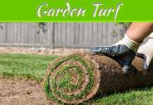 Top 5 Tips for Buying Garden Turf Top 5 Tips for Buying Garden Turf