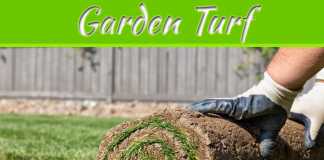 Top 5 Tips for Buying Garden Turf Top 5 Tips for Buying Garden Turf