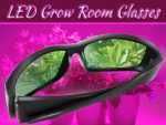 Why You Should Wear LED Grow Room Glasses While Using LED Lights Why You Should Wear LED Grow Room Glasses While Using LED Lights