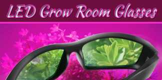 Why You Should Wear LED Grow Room Glasses While Using LED Lights Why You Should Wear LED Grow Room Glasses While Using LED Lights