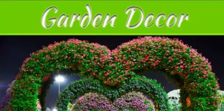 Garden Decoration Ideas: Creative Ways To Transform Your Outdoor Space Garden Decoration Ideas: Creative Ways To Transform Your Outdoor Space