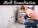 Signs Your Home Has Mold Contamination