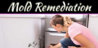Signs Your Home Has Mold Contamination Signs Your Home Has Mold Contamination