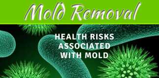 The Benefits Of Professional Mold Removal In Toronto The Benefits of Professional Mold Removal in Toronto