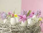 eggshell-flowers