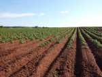 farm-soil