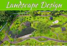 Landscape Design Trends 2020 Landscape Design Trends 2020