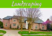 Landscaping Like A Pro Landscaping Like A Pro