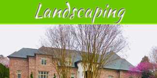 Landscaping Like A Pro Landscaping Like A Pro