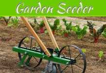 Quick-Guide To Choosing The Best Garden Seeder Quick-Guide To Choosing The Best Garden Seeder