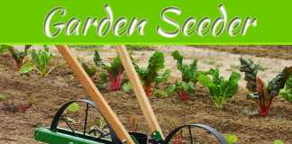 Quick-Guide To Choosing The Best Garden Seeder Quick-Guide To Choosing The Best Garden Seeder