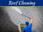 Why Roof Cleaning And Moss Removal Services Are Important Why Roof Cleaning And Moss Removal Services Are Important