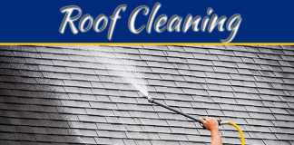 Why Roof Cleaning And Moss Removal Services Are Important Why Roof Cleaning And Moss Removal Services Are Important