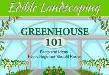 Creating Edible Landscaping Creating Edible Landscaping