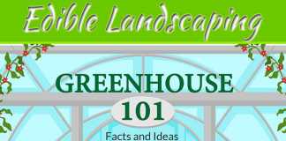 Creating Edible Landscaping Creating Edible Landscaping