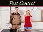 Discover The Importance Of Pest Control & Why It Is An Essential Service Discover The Importance Of Pest Control & Why It Is An Essential Service