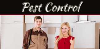 Discover The Importance Of Pest Control & Why It Is An Essential Service Discover The Importance Of Pest Control & Why It Is An Essential Service