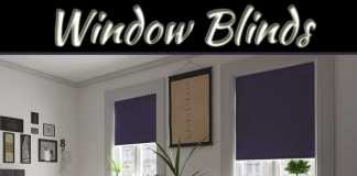 Finding The Perfect Coloured Blinds For Your Home Finding The Perfect Coloured Blinds For Your Home