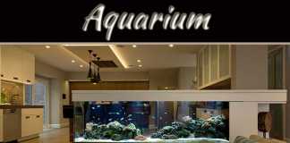 Tips For Interior Decorating With Aquariums Tips For Interior Decorating With Aquariums