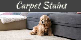 A Guide To Cleaning The Most Common Carpet Stains A Guide To Cleaning The Most Common Carpet Stains