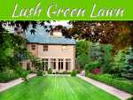 How To Maintain A Lush Green Lawn