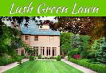 How To Maintain A Lush Green Lawn How To Maintain A Lush Green Lawn