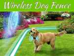 Stopping Your Dog Chasing Interlopers Stopping Your Dog Chasing Interlopers