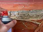 termites-insect-home-remedy-spray