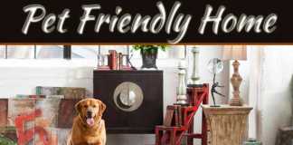 Pet-Friendly Home Tips: Create A Safe & Stylish Space Tips for Pet Friendly Homes
