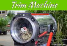 Benefits Of Using A Bud Trim Machine For Harvesting Benefits Of Using A Bud Trim Machine For Harvesting