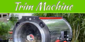 Benefits Of Using A Bud Trim Machine For Harvesting Benefits Of Using A Bud Trim Machine For Harvesting